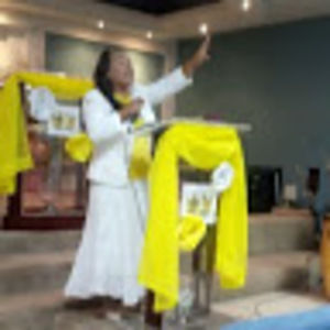 Meet your Posher, Lizandra